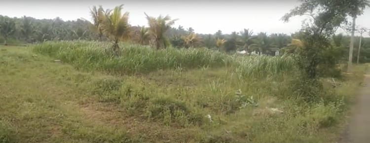 3.30 Acre Farm Land for Sale in Devanputhur
