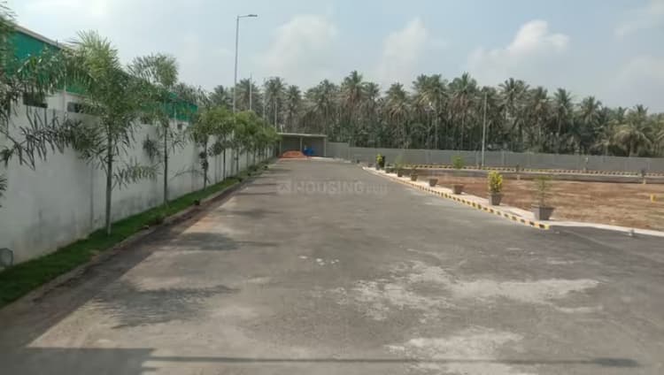 Residential Plot