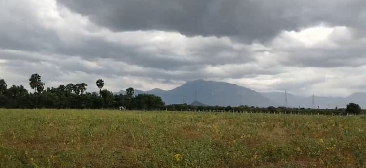 Empty Land for Sale