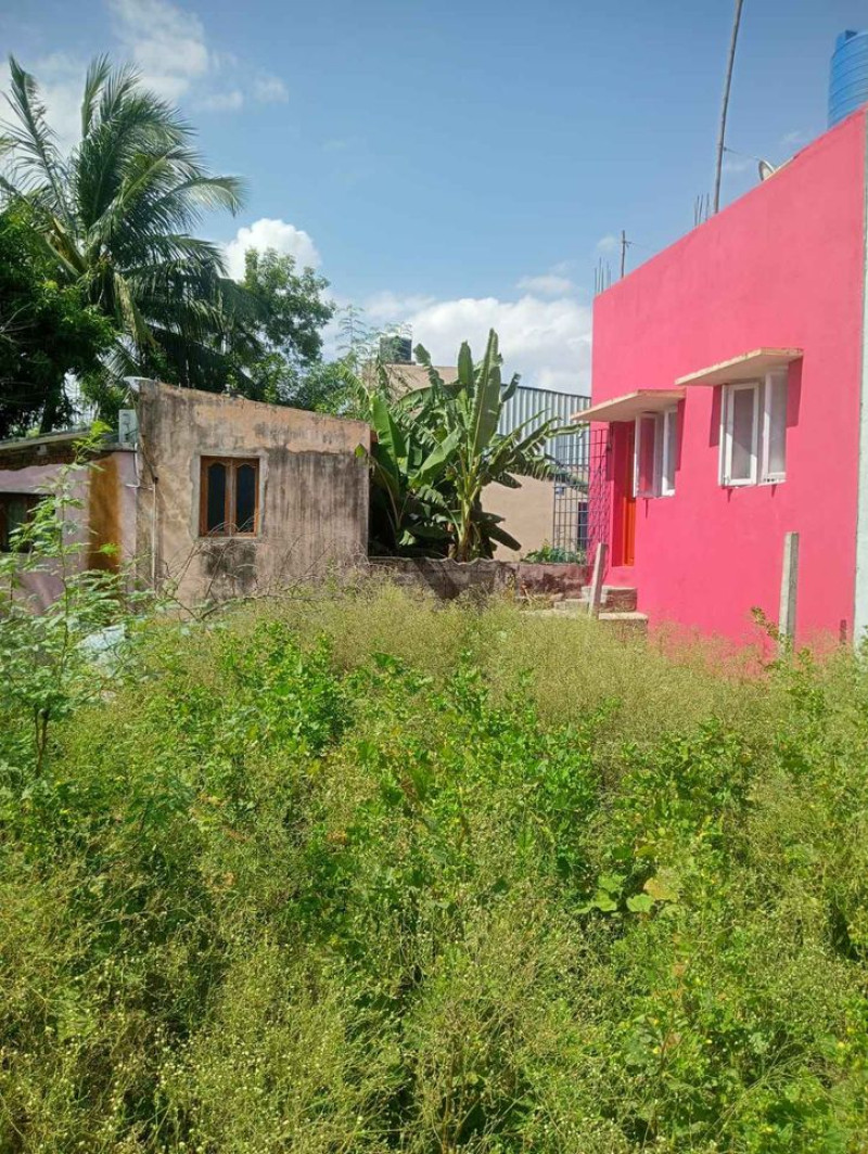 Land for sales