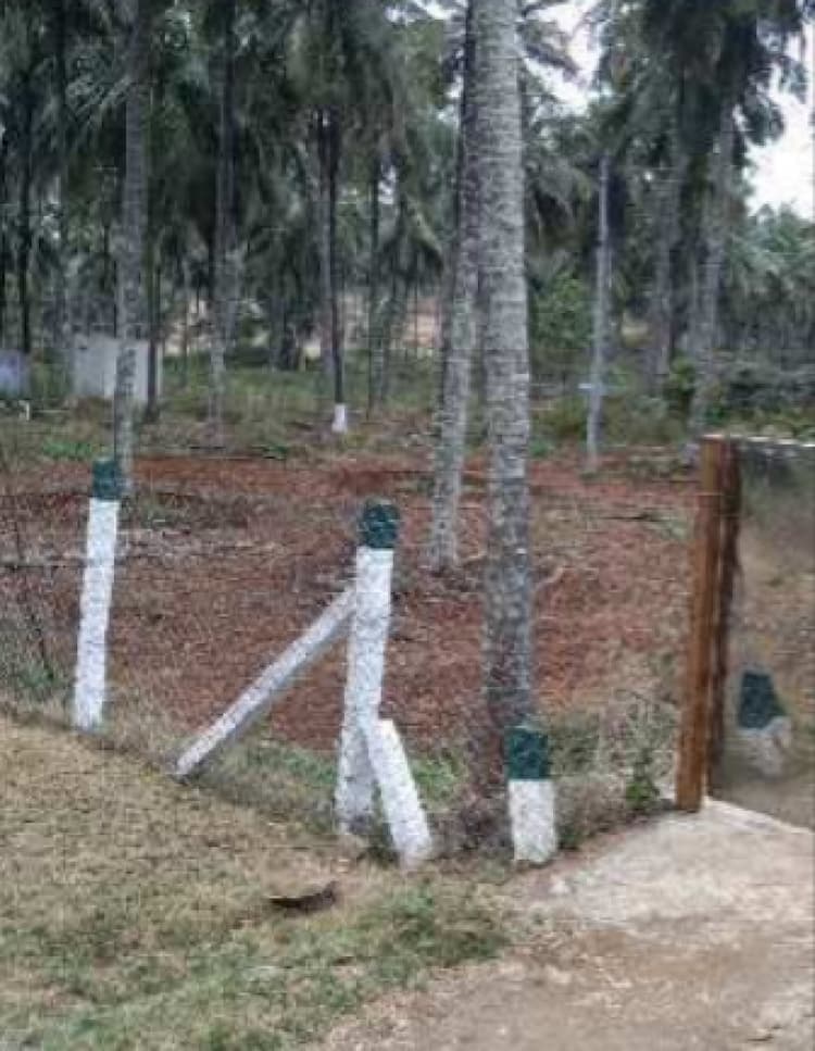 Land for sale