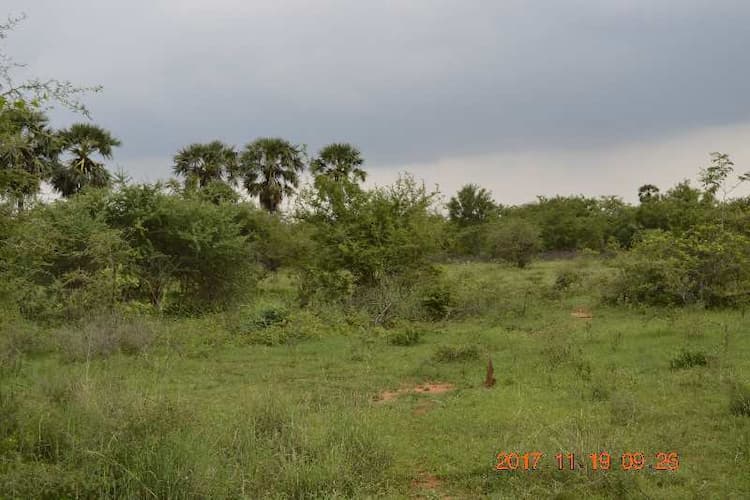 Plot sale