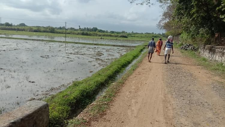 Single Property Image