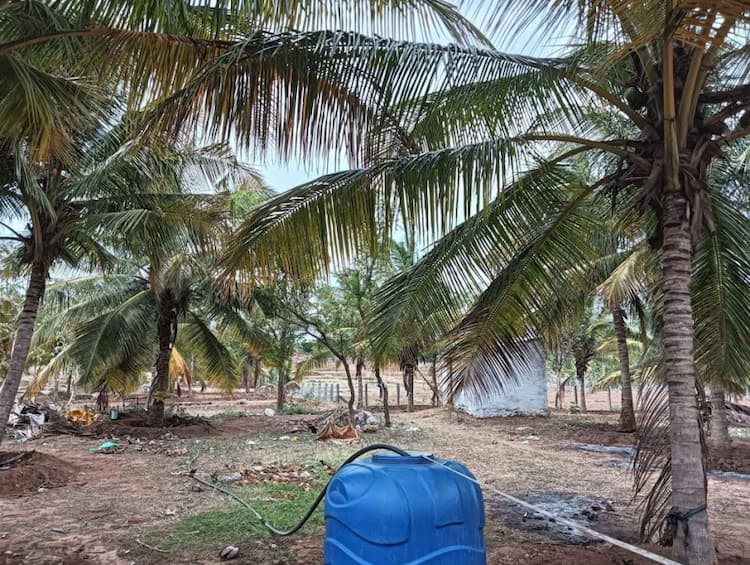 Single Property Image