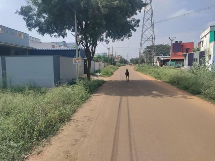 Single Property Image