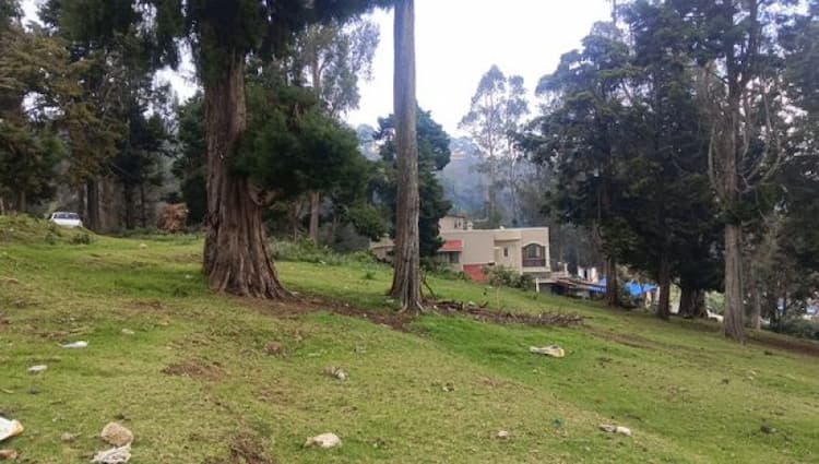 Single Property Image