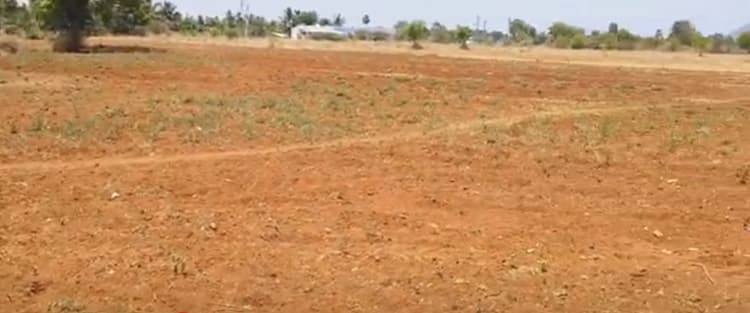 land for sales