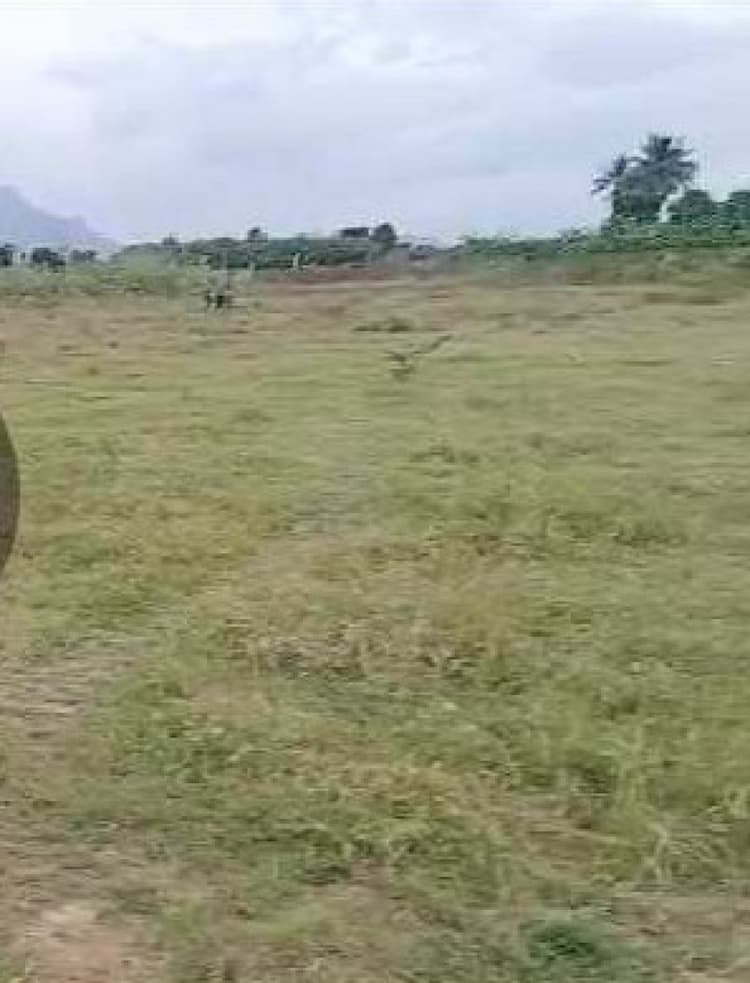 Land sale