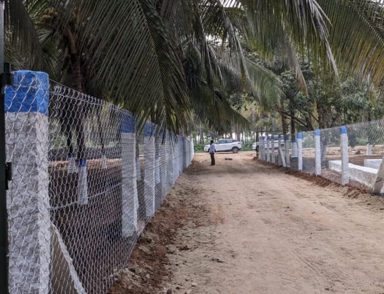 coconut farm land for sale