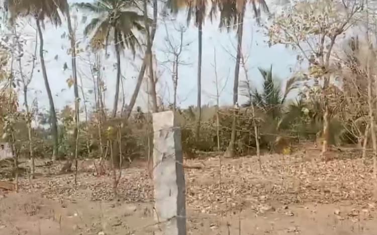 Land for sales