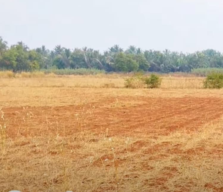 Land for sales