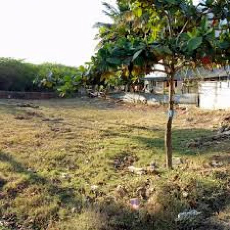 Plot sale