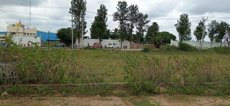 Farm land sale