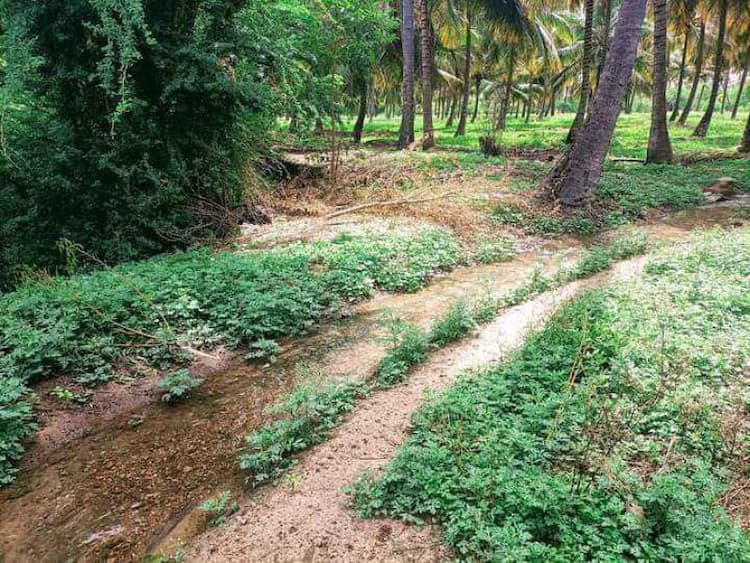 LAND SALES AT PALANI NEAR KANNKANPATTI