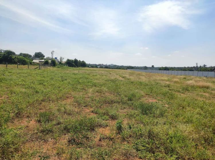 Farm Land for Sale