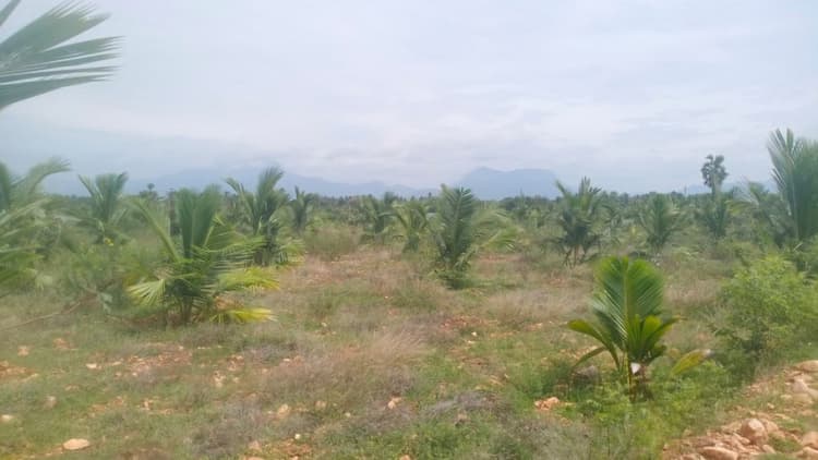 1 acre for sales