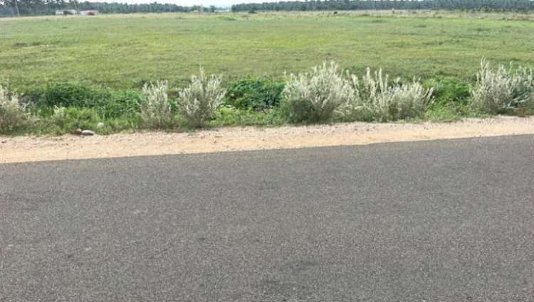 50 Cent Plot for Sale near Uppar Dam
