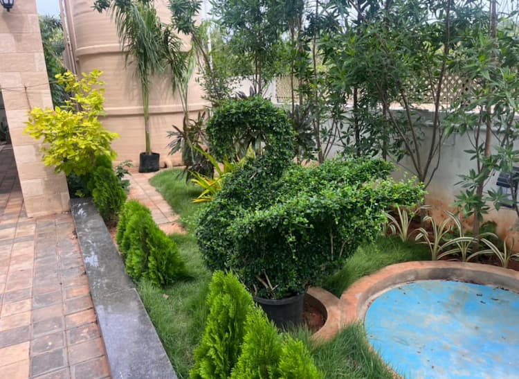 Single Property Image