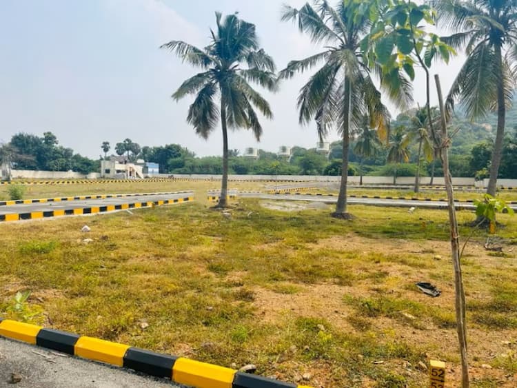 plot for sale 