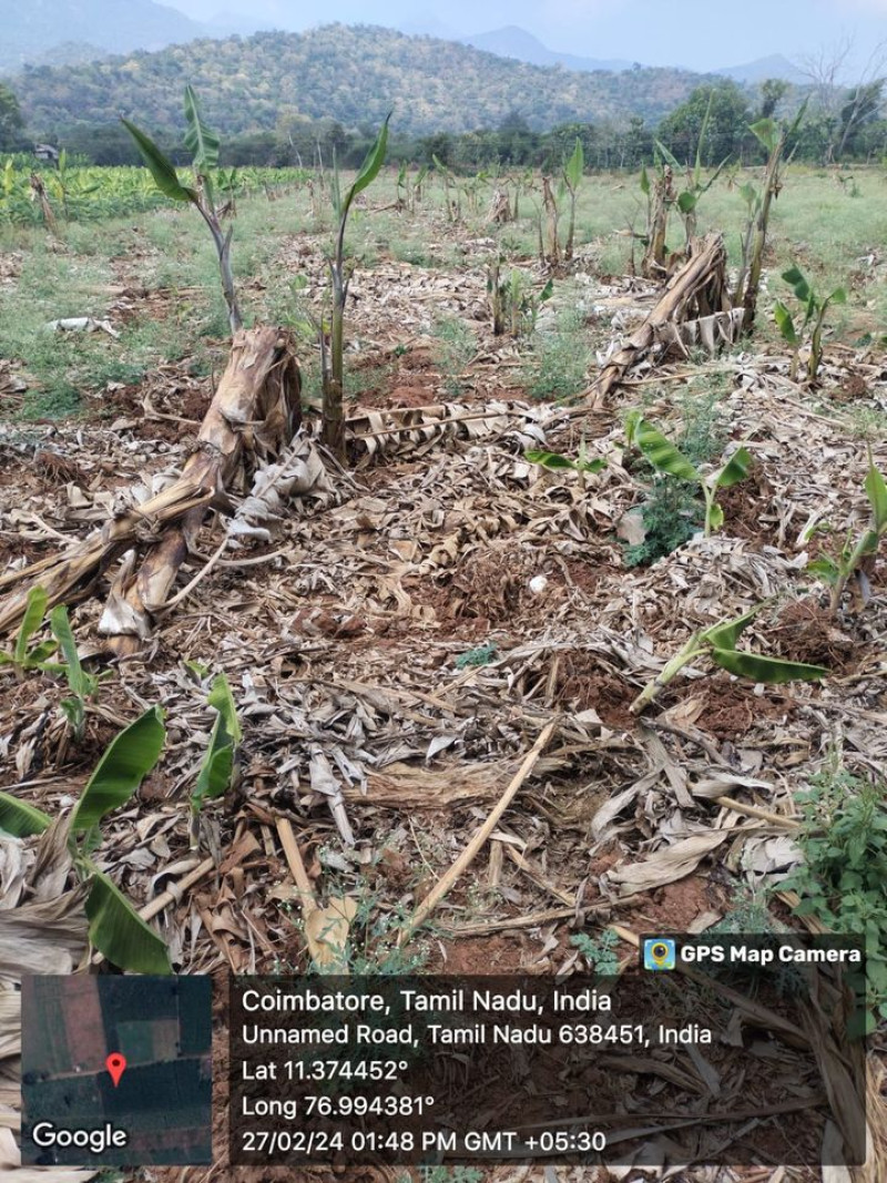 farm land for sale