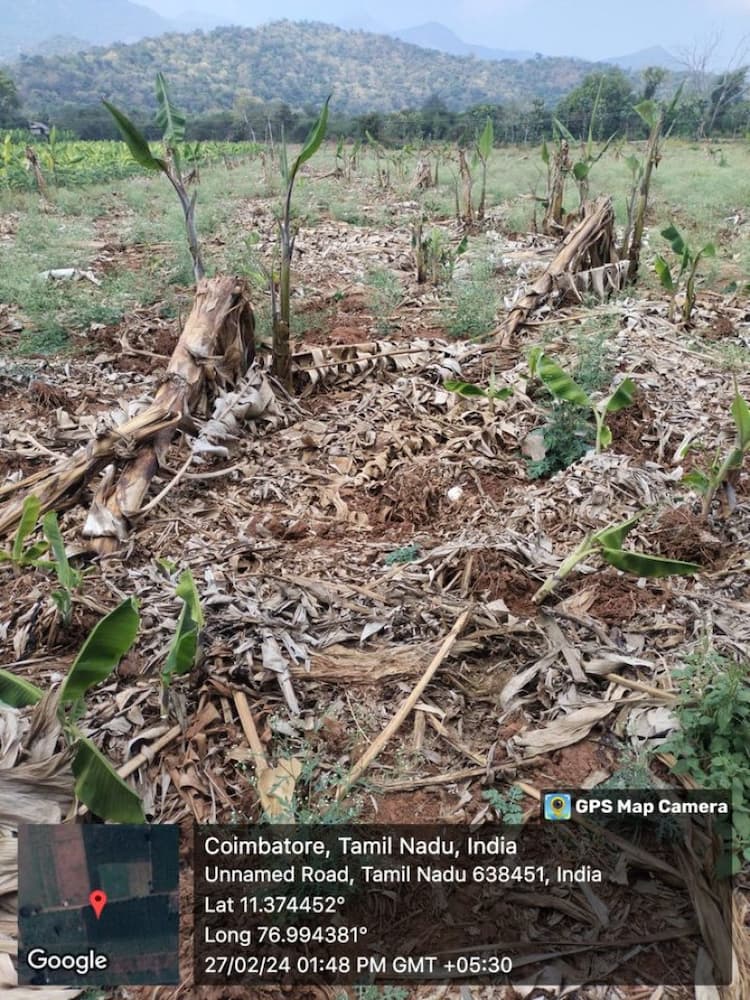farm land for sale