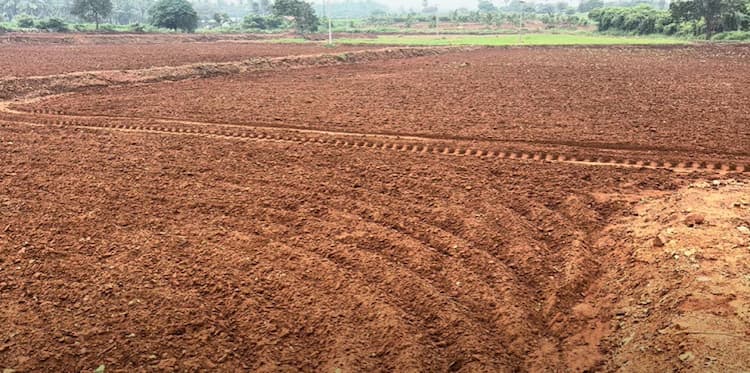 Land for Sale