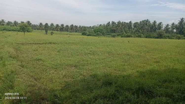 Land for sales