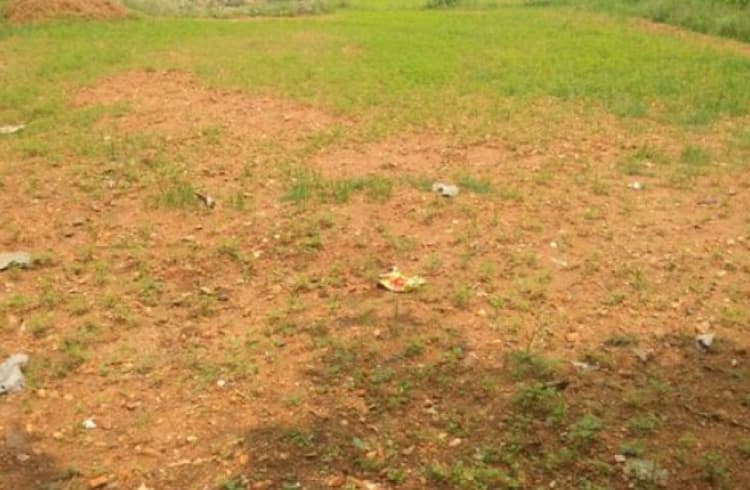 Land for sales