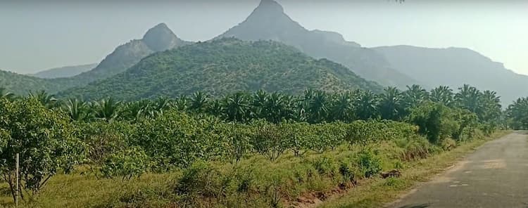 2 Acre Land for Sale