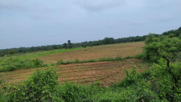 Agriculture Land