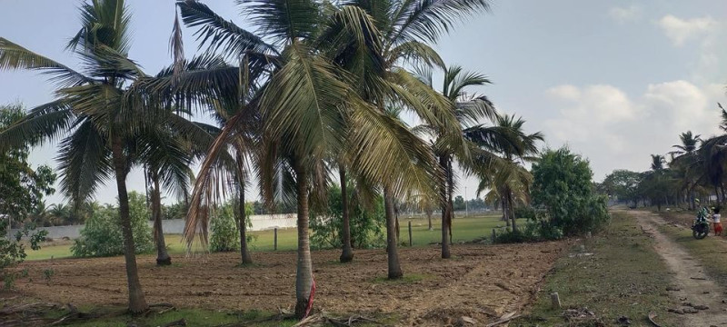 ECR BEACH PROPERTY