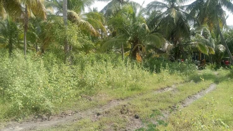 Single Property Image