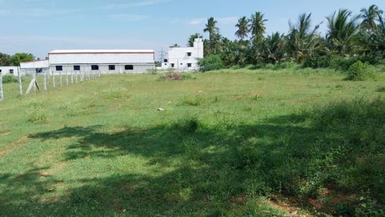 50 cent land for sale