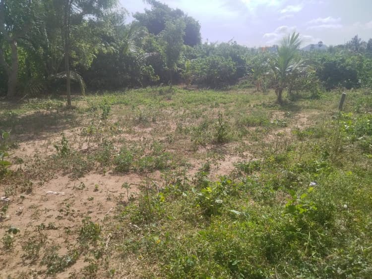 Residential Land