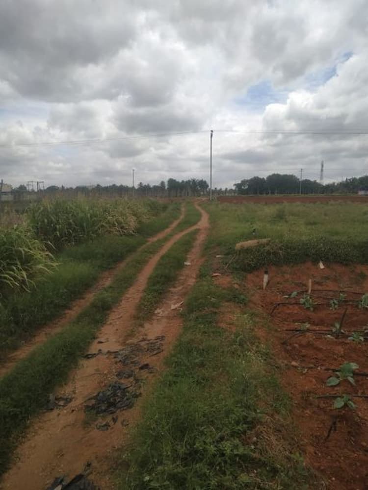 Land sale