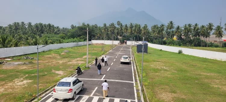 Residential Plot
