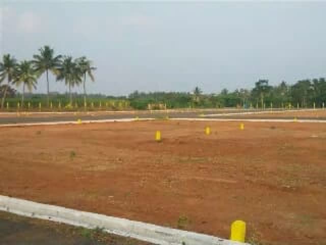 Trending Projects Image