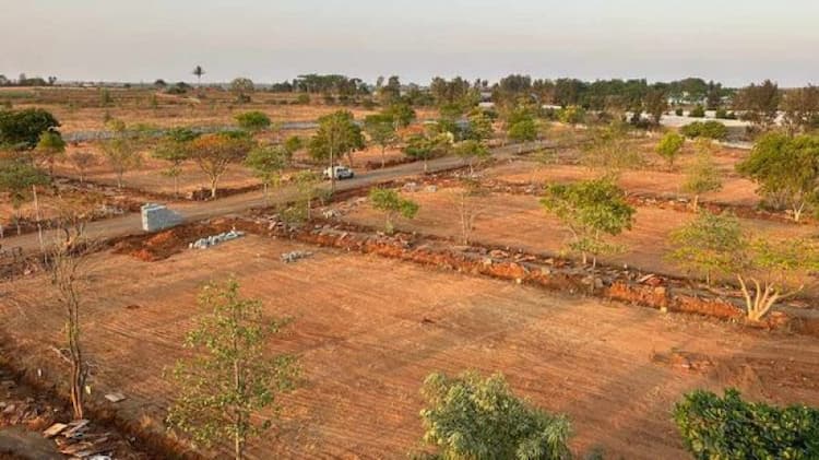 Plot sale