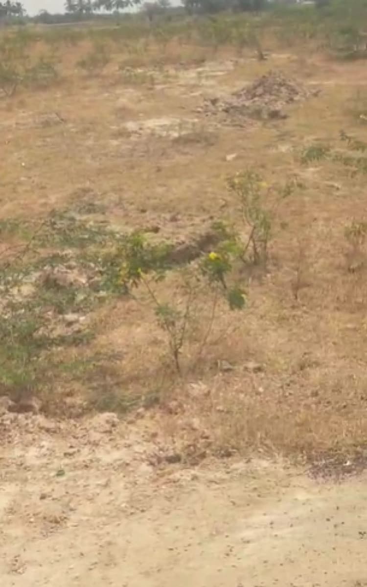 98 Acre land for sales