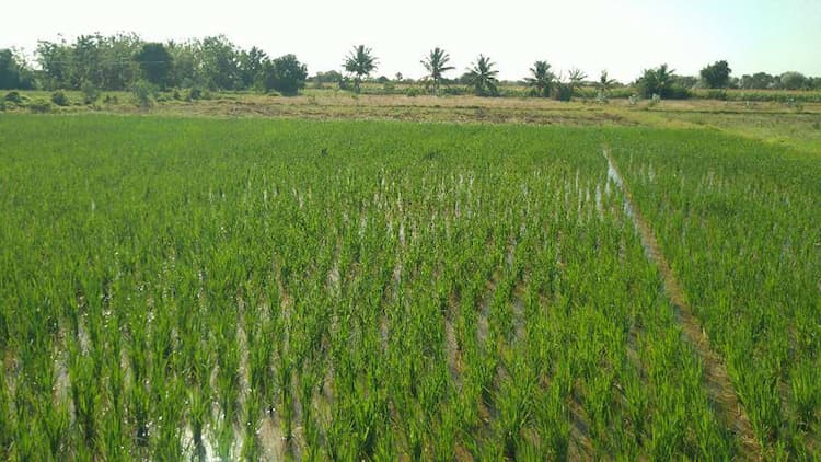 land forr sale
