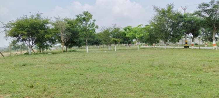 Plot sale