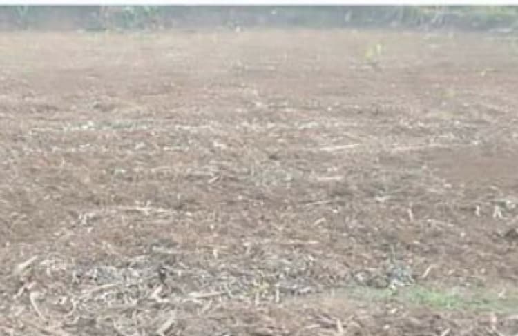 Land for sales