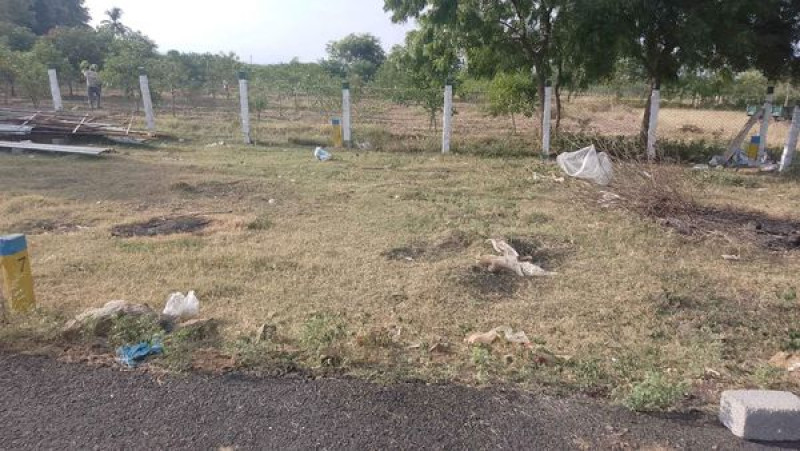 Plot sale