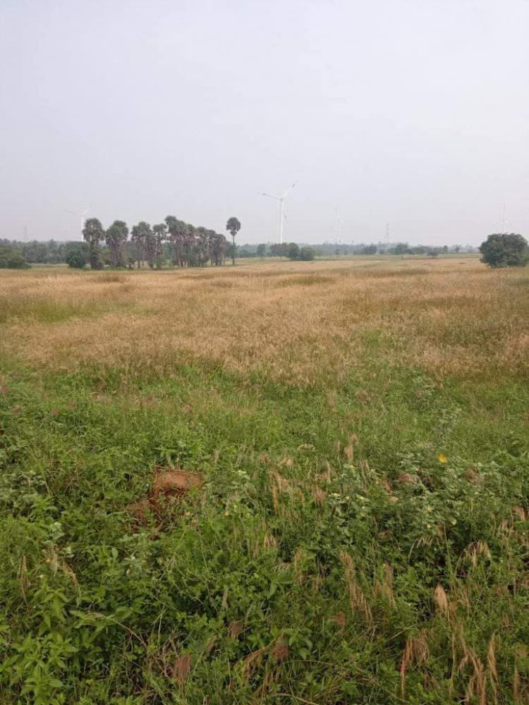 farm land for sale
