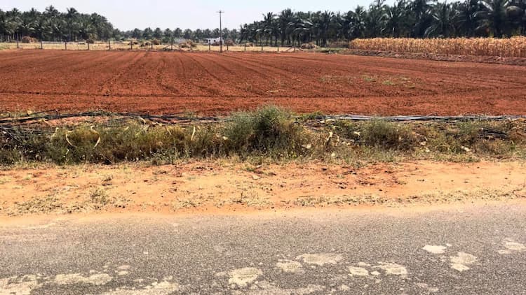 1 Acre Land for Sale