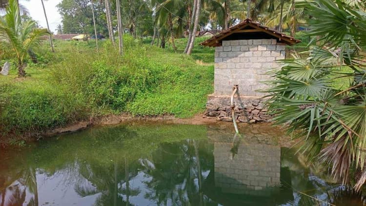 farm land for sale