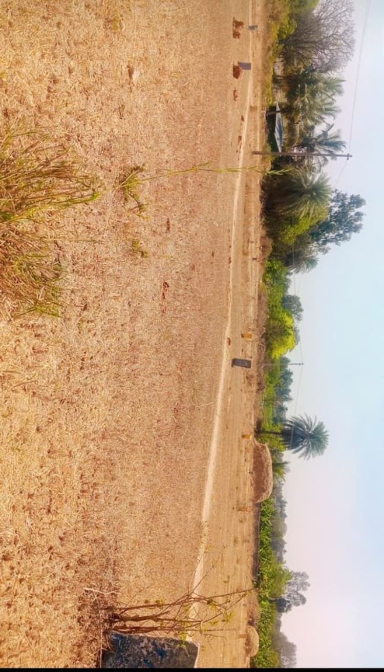 Plot sale