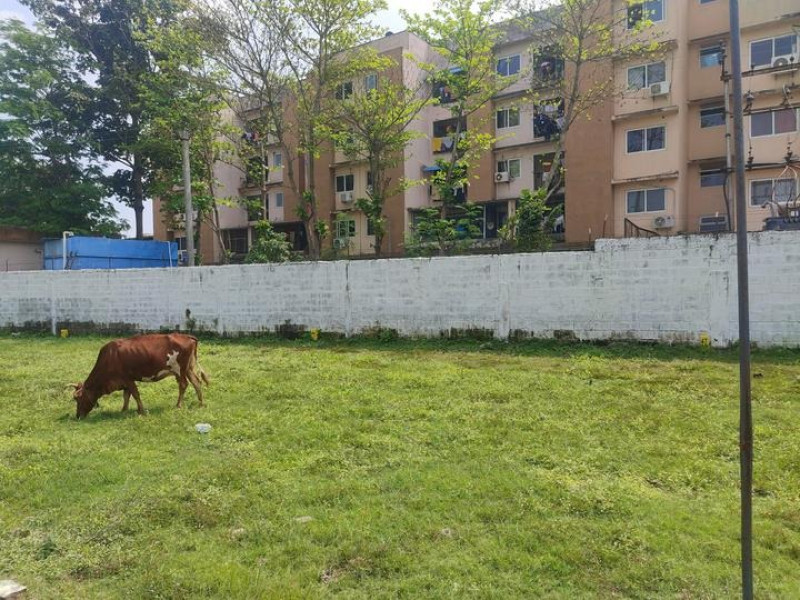 Residential Plot