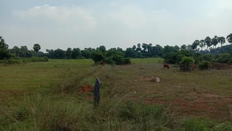 10 Acres punjai  land for sale