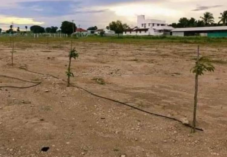 plot for sale